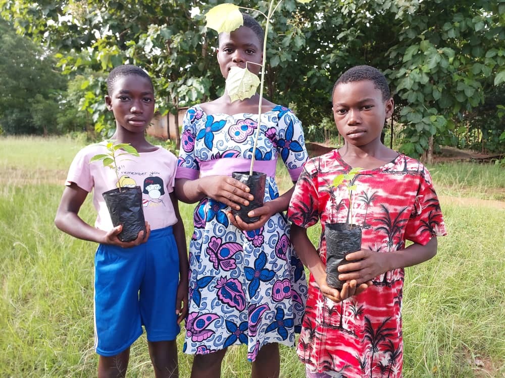 Trois enfants tiennent chacun un jeune plant d'arbre